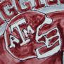 Aggies detail